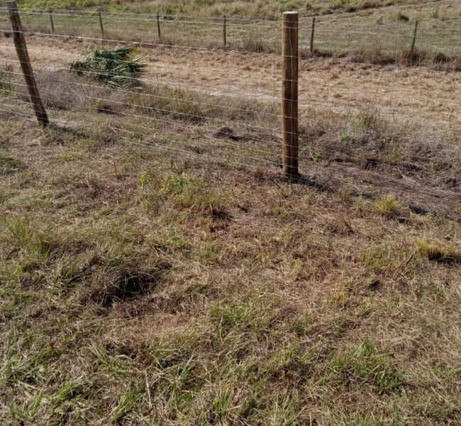 landscaping services landscaping services